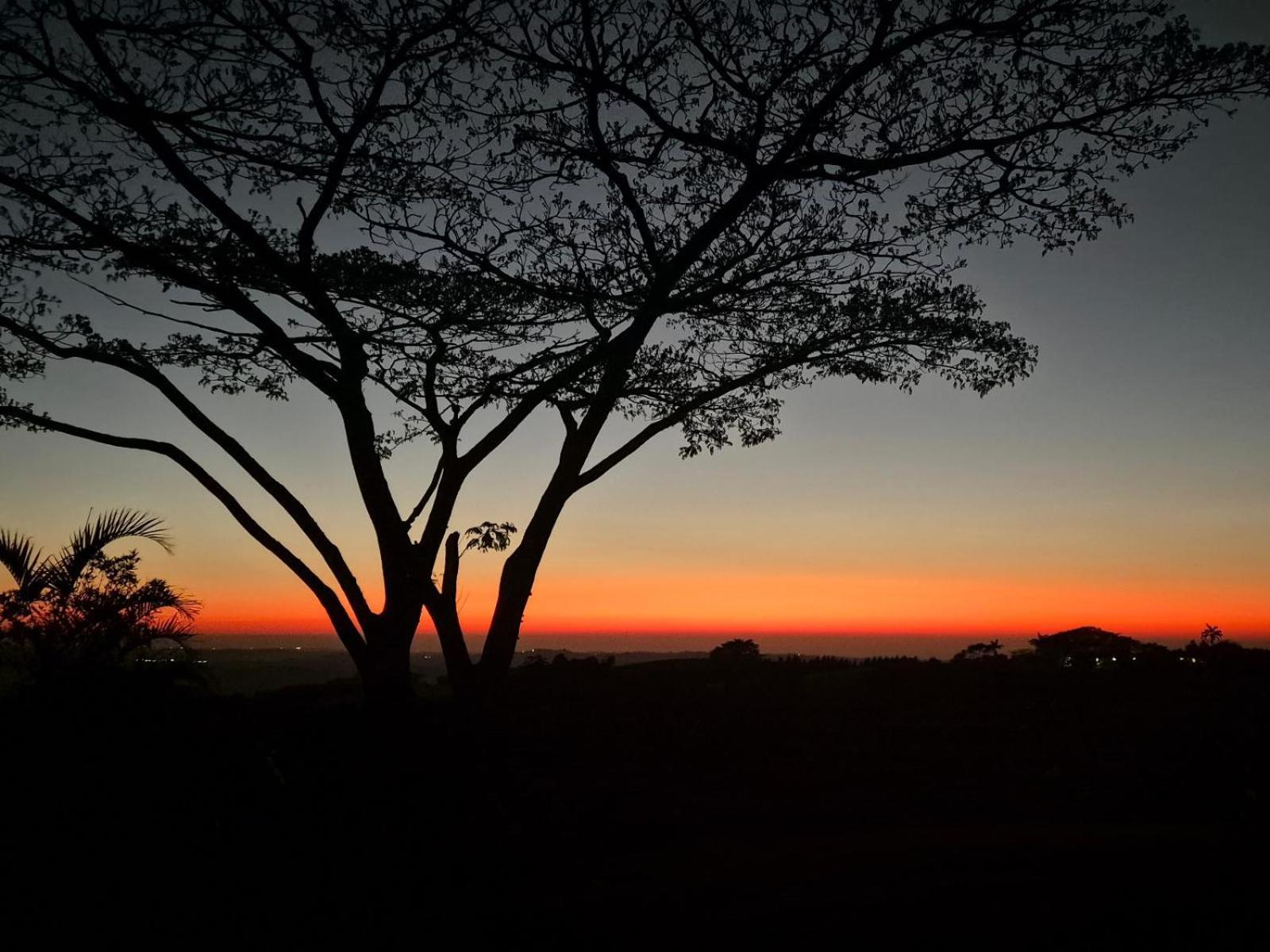 Silverstreams Lodge, Villas & Cottages, Oribi Gorge Glendale Bagian luar foto
